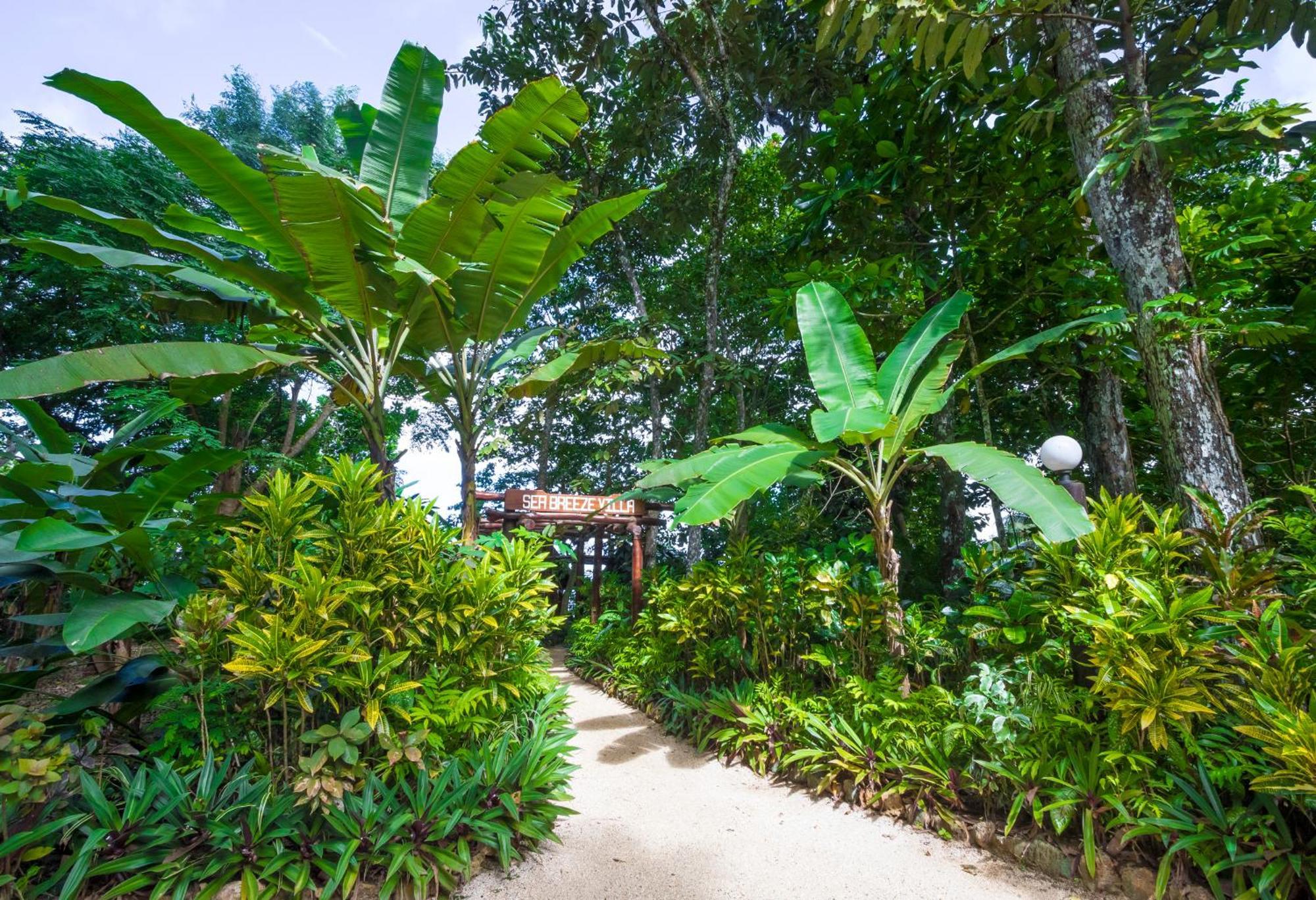 Savasi Island Resort Савусаву Стая снимка